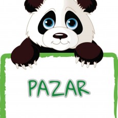Panda Karakteri ve Pazar Kelimesi Eğitici Materyali
