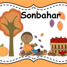 Sonbahar Konsept Eğitim Materyali: Mevsimsel Öğrenme, Düşen Yapraklar ve Sebzeler