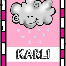 Kar Yağışı Temalı Eğitici Kart - KARLI