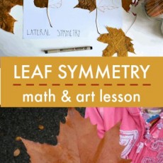 LEAF SYMMETRY: MATH AND ART LESSON ON REFLECTION AND LATERAL SYMMETRY