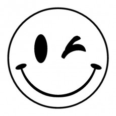 Winking Smiley Face Icon - Eğlenceli İletişim Simgesi