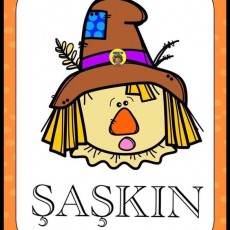 SAŞKIN (5) - Çizgi Karakterli Korkuluk Temalı Egitim Materyali