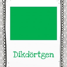 Dikdörtgen-2D Şekil Eğitimi
