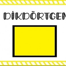 Dikdörtgen Öğretim Materyali