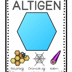 ALTIGEN - Altıgen Şekli, Bal Peteği, Örümcek Ağı ve Kalem Öğretici Materyali