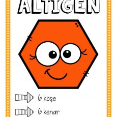 ALTIGEN – 6 KÖŞE 6 KENAR Eğitim Materyali