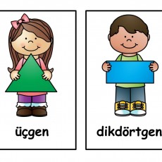 Geometrik Şekiller: Üçgen ve Dikdörtgen Eğitimi