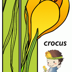 Eğitsel Materyal: Crocus Çiçeği ve Çocuk Eğitimi