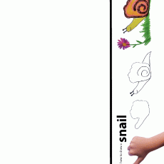 Snail Drawing Tutorial: Step-by-Step Guide on How to Draw a Snail with Visual Instructions and Kid's Hand Illustration