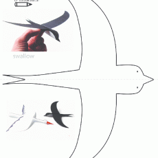 Swallow Bird Craft Activity - 1 (one) Instruction for Coloring and Cutting