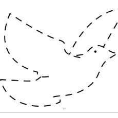 Uçan Kuş, Dotted Line Drawing for Kids