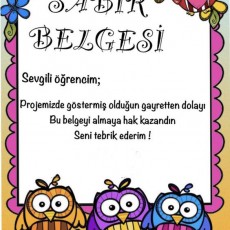 SABIR BELGESİ - Öğrenci Başarı Belgesi