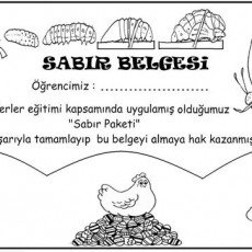 Sabır Belgesi - Değerler Eğitimi Sertifikası ve Hayvan Resimleri