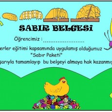 Eğitsel Sabır Belgesi: Değerler Eğitimi Projesi