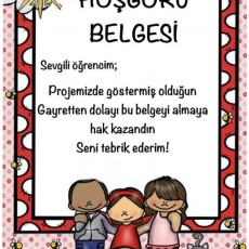 Hoşgörü Belgesi - Öğrenci Başarı Sertifikası