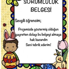 Sorumluluk Belgesi - Öğrenci Başarı Sertifikası