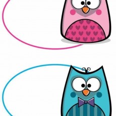 Çocuklar İçin Eğlenceli Baykuş Karakterleri Resmi: 2 Baykuş, 1 Pembe dişi, 1 Mavi erkeğin Çizimi