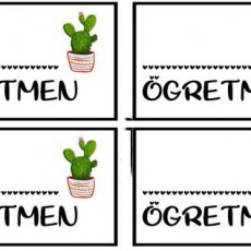 Öğretmen Etiketleri: 4 Adet Cactus Temalı ve Boşluklu