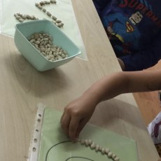 Eğitsel Materyal: Fasulye ile Çizim ve Duyusal Gelişim Alıştırması (66 adet fasulye)