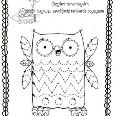 Baykuş Boyama Etkinliği ve Çizgi Tamamlama