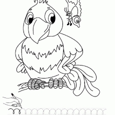 Parrot and Butterfly Coloring Activity with Writing Practice