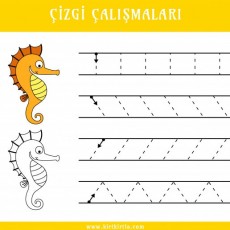 Çizgi Çalışmaları: Denizatı Temalı Yazma Alıştırmaları