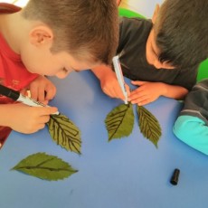 Çocuklar Arasında Yaprak Çizim Etkinliği: Sanat ve Doğa Eğitimi