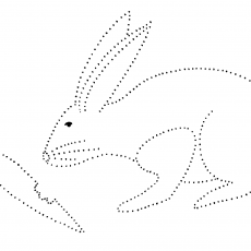 Bunny and Carrot Dot-to-Dot Activity for Children