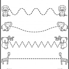 Hayvanlar ve Çizgi Çalışması - 5 Hayvan (BEAR, LION, ELEPHANT, KOALA, GIRAFFE)