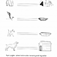 Hayvan Yuvalarını Tamamlama Etkinliği - Kutup Ayısı, Kuş, Köpek