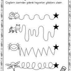 Çizgi Çalışması: Hayvanları Yıldızlara Ulaştırma Etkinliği