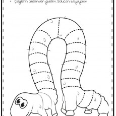Çizgi Çalışması - Solucan Boyama ve İzleme Etkinliği