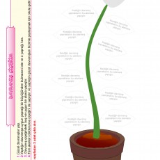 Davranış Çiçeği Etkinliği - Çocuklar İçin Eğitsel Materyal