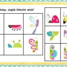 Eğlenceli Böcek Eşleştirme Etkinliği