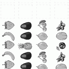 Meyve Tanıma ve Sınıflandırma Aktivitesi (Fruit Identification and Classification Activity)