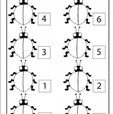 Sayılar ve Böcekler Bilmecesi: 1, 2, 3, 4, 5, 6, 7 - Eğitici Görsel Materyal