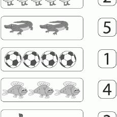 Sayilarla Hayvan ve Nesne Eşleştirme: 2 Beyaz Kaz, 5 Timbuktu Krokodili, 1 Futbol Topu, 4 Neşeli Balık, 3 Yılan
