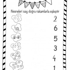 Nesne Sayma ve Doğru Rakamlarla Eşleştirme Etkinliği (2, 6, 5, 3, 4, 1)