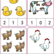 Hayvanların Sayımı: 3 Sarı Ördek, 1 İnek, 6 Koyun, 2 Tavuk