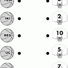 Basketbol Sayıları ve Yazılışı: 2, 3, 5, 7, 10, 12 Sayıları ile Sayıların Eğitim Materyali