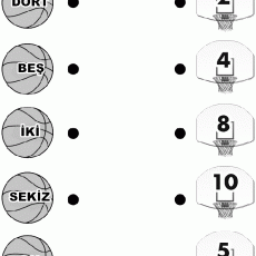 Basketbol Topları ile Rakam ve Sayıları Öğrenme: 2, 4, 5, 8, 10, 12, 4, 8, 10, 12 Eğitici Materyal