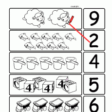 Eğitici Matematik Materyali: Sayılar ve Sayma (2, 4, 5, 6, 9) - Hayvanlar, Kaplar, Küpler ve Araçlar