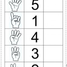Eğitici El Sayma Matrisi: 5 (BEŞ), 1 (BİR), 4 (DÖRT), 3 (ÜÇ), 2 (İKİ) Sayılarıyla Temel Sayma Eğitimi