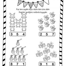 Hayvanlar ve Rakamlar: Sayma ve Boyama Etkinliği - 3, 4, 5, 2, 5, 7, 8, 7, 1, 9, 1, 6
