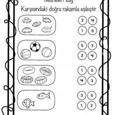 Nesneleri Sayarak Eşleştir: Sayılar ve Tanımlar