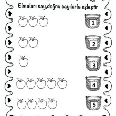 Elma Sayma ve Eşleştirme Etkinliği: 1-5 Aralığında Sayılarla Eşleştir, İlkokul Görsel Eğitim Materyali