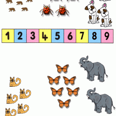 Hayvan Sayma ve Matematik Eğitimi: 1 ile 9 Arası Sayılar, Hayvanlar ve Doğa Öğrenimi