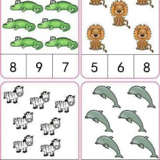 Hayvan Sayma Etkinliği: Krokodil (8), Aslan (5), Zebra (10), Yunus (7)