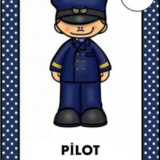 Pilot Mesleği Eğitimi - Eğitim Materyali
