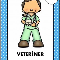 Veteriner Eğitimi - Meslekler